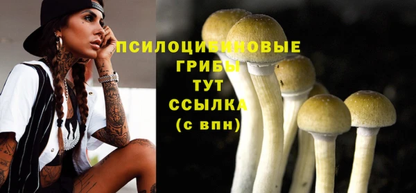 крисы Липки