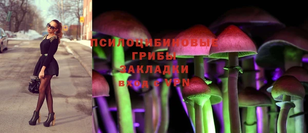 крисы Липки