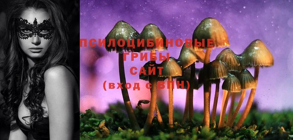 apvp Одинцово
