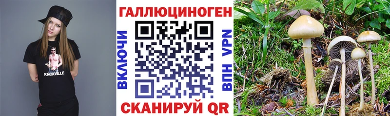 как найти наркотики  Нижний Тагил  Галлюциногенные грибы MAGIC MUSHROOMS 