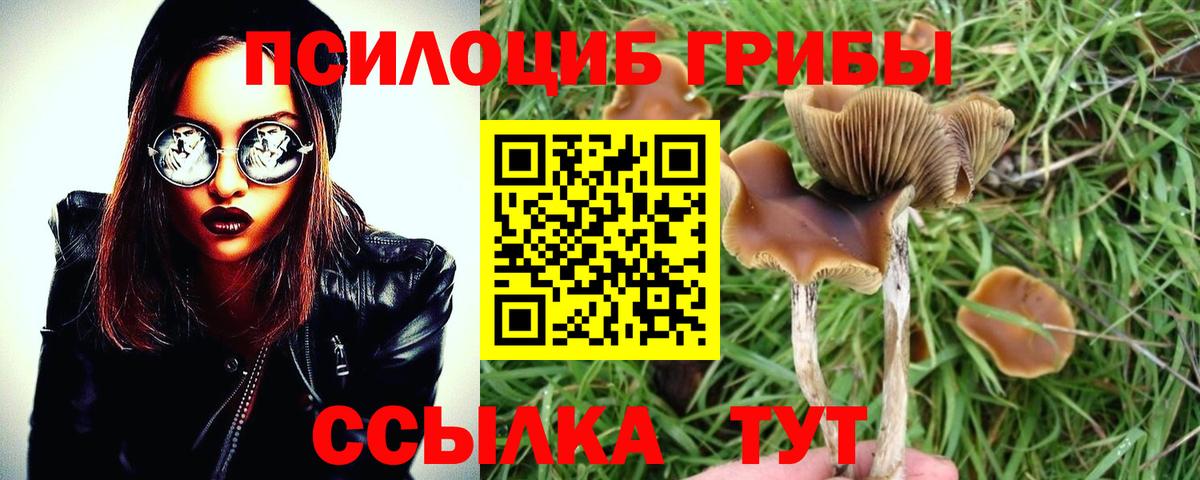 Нижний Тагил  Псилоцибиновые грибы прущие грибы  Вход с VPN 