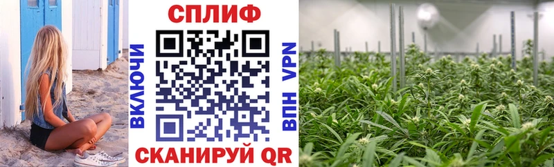 Бошки марихуана Bruce Banner  Нижний Тагил 