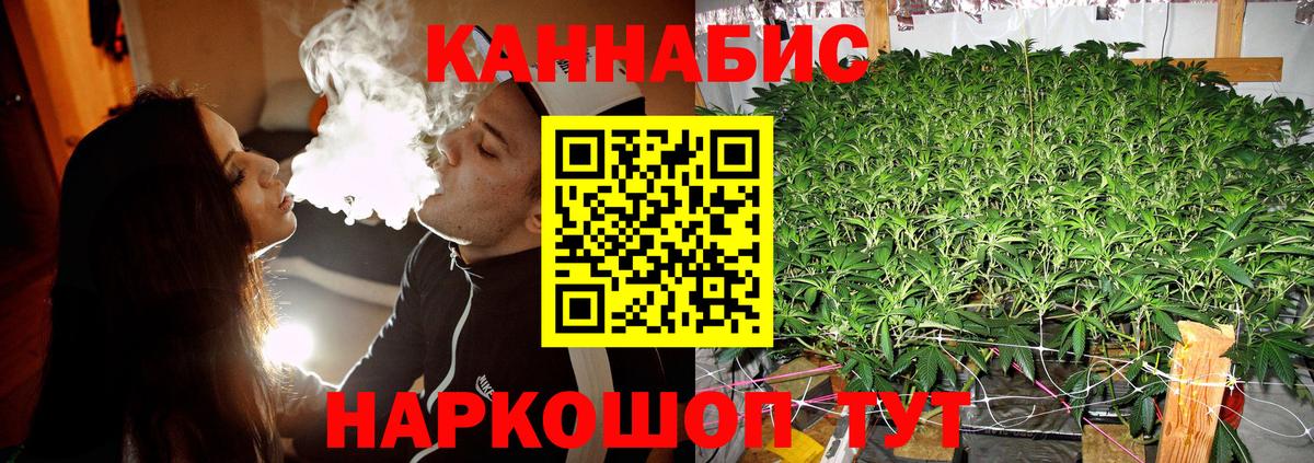 Шишки марихуана Ganja  Конопля планчик  Вход с VPN  Нижний Тагил 